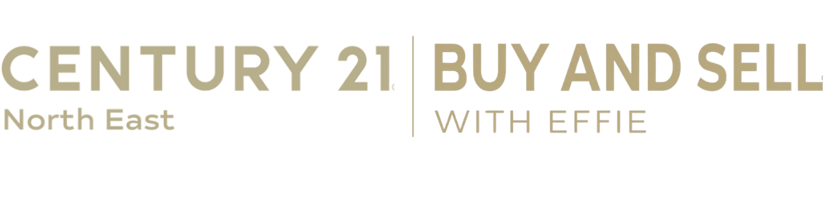 Century 21NE logo