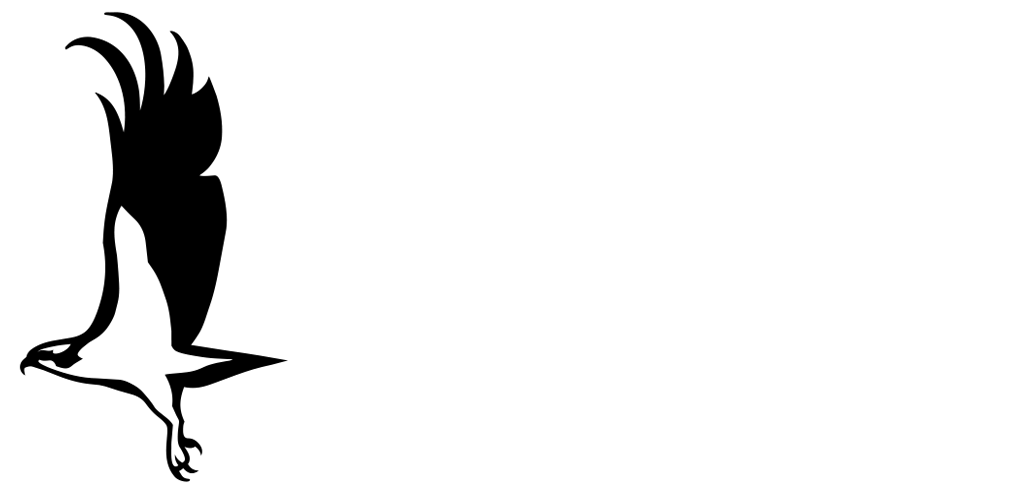 Osprey Realty Group logo